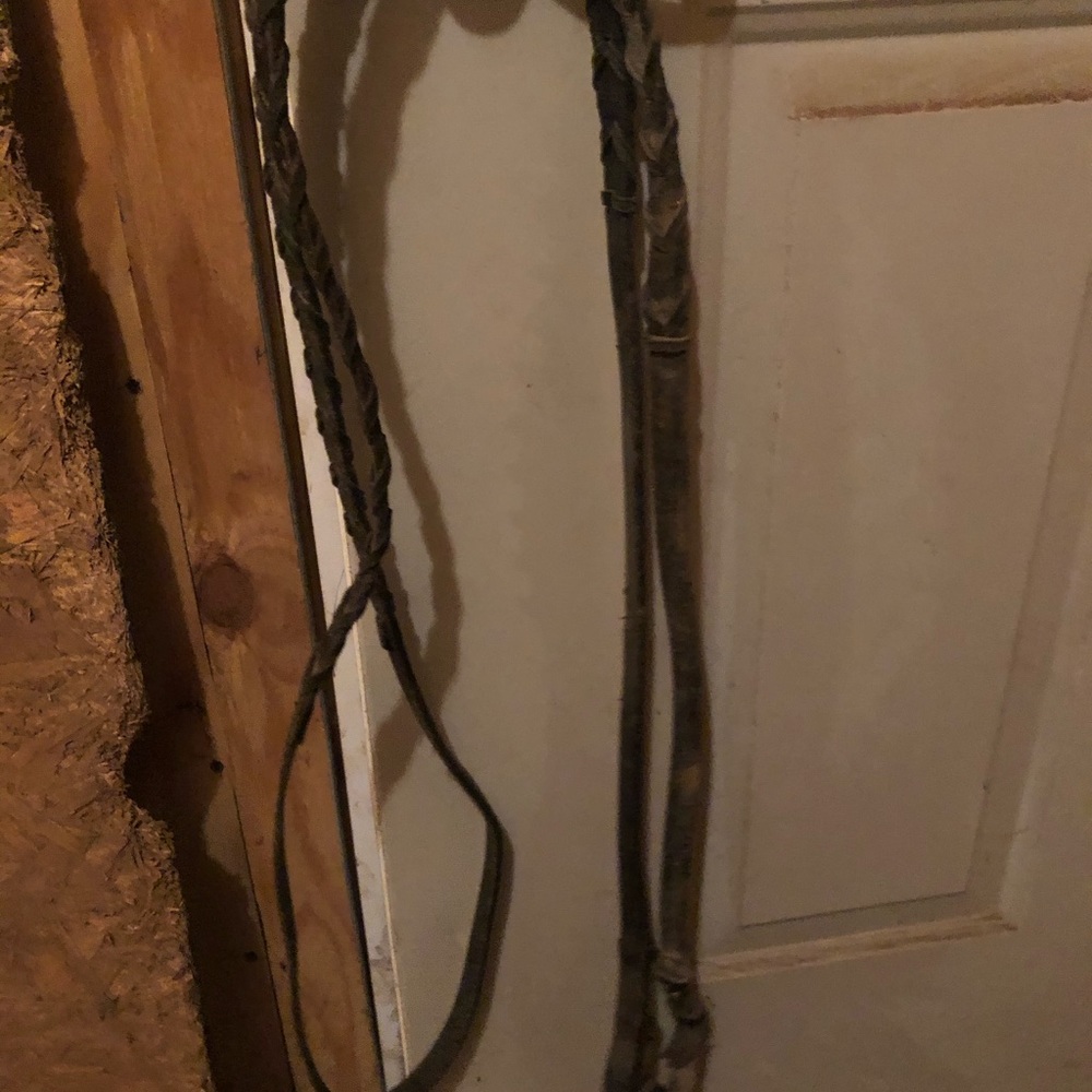 Laced English reins